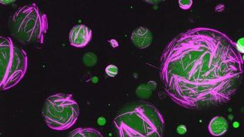 Animated green and pink artificial cells.